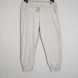 Patagonia Size M Drawstring Jogger Sweatpants Light Gray Organic Cotton Lounge
